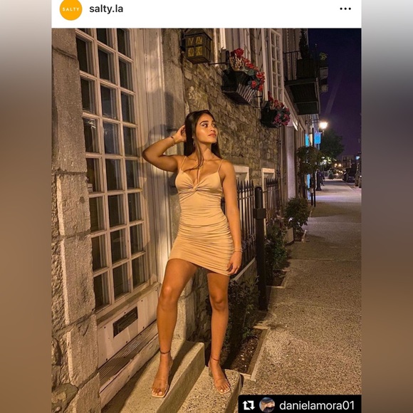 Salt brand, tan mini ruched dress, new with tags - Picture 2 of 7